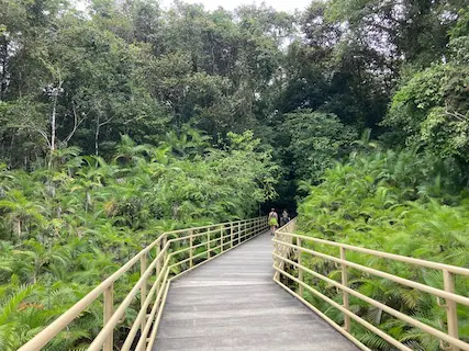 manuel antonio park trails