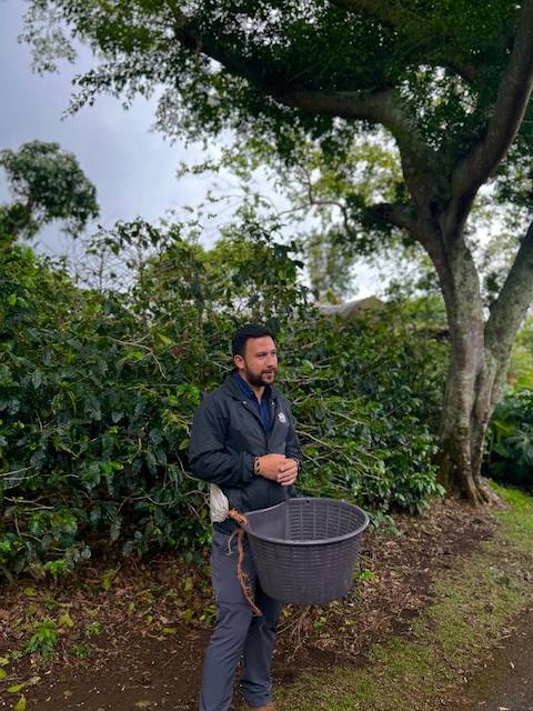 coffee plantation tour