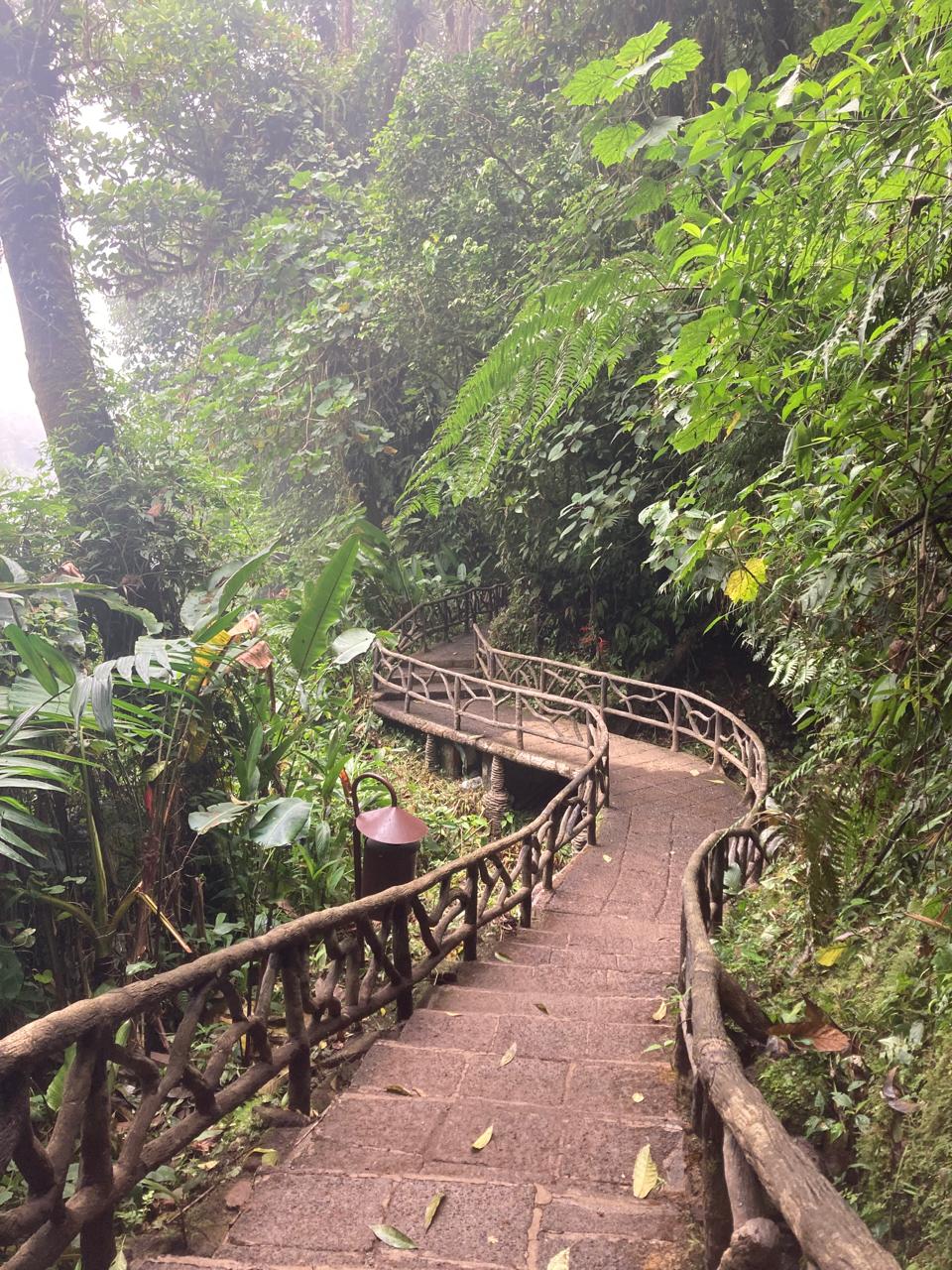 poas volcano hike trail tour