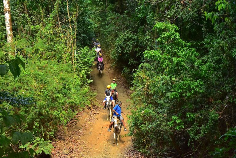 Group of travelers horseback riding along a lush rainforest trail near Jaco, Costa Rica, during a guided adventure tour.