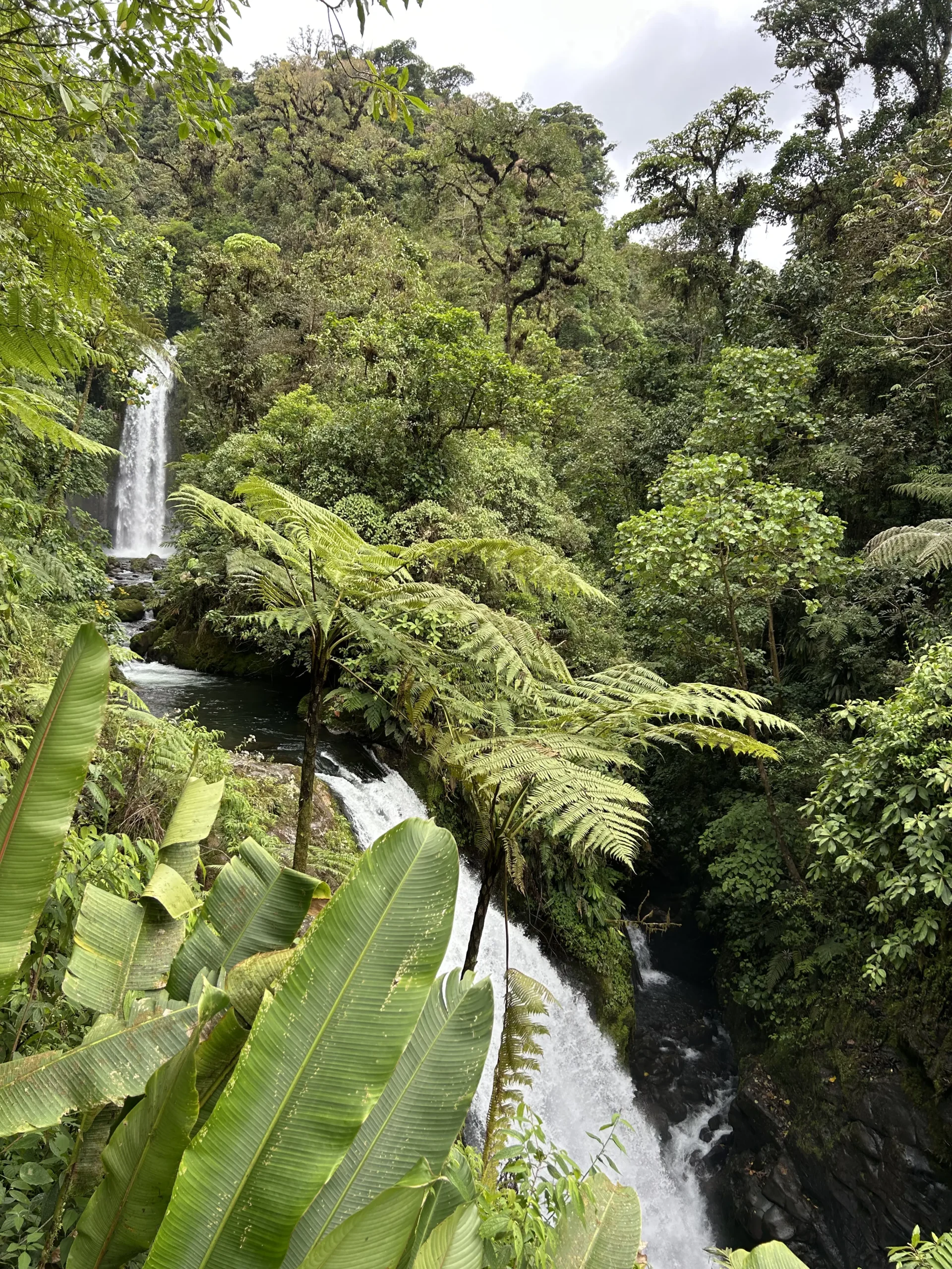 Lush rainforest waterfall at La Paz Waterfall Gardens near Poás Volcano in Costa Rica