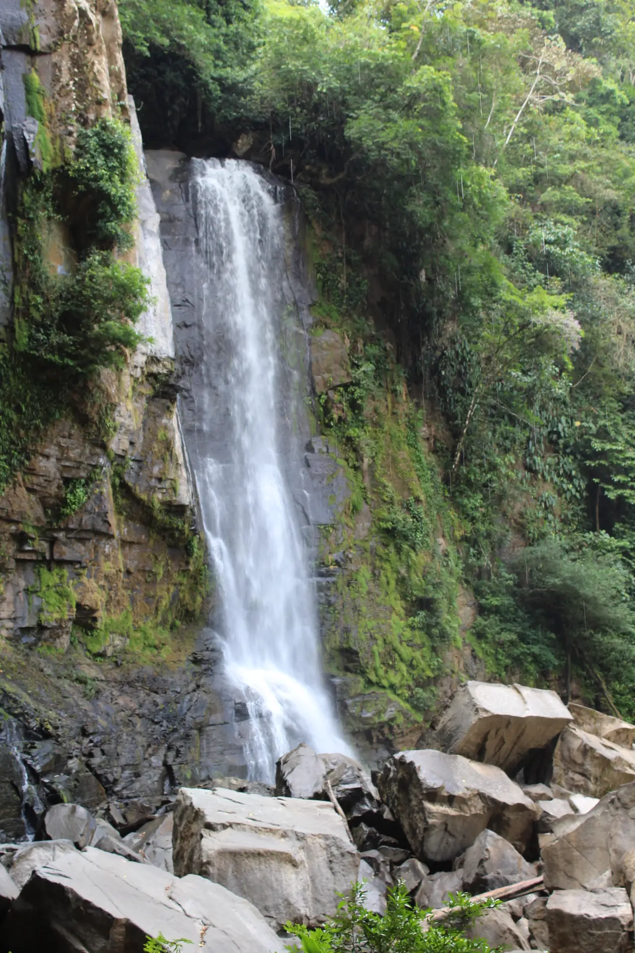 Nauyaca Waterfalls in Costa Rica surrounded by lush jungle during a hiking tour