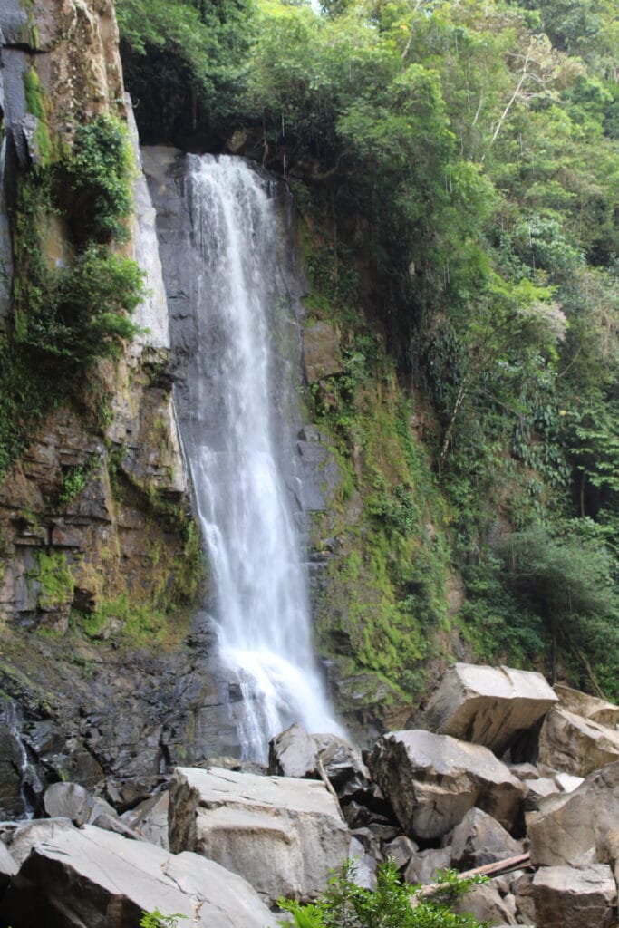 Side view of Nauyaca Waterfalls surrounded by rainforest in Costa Rica