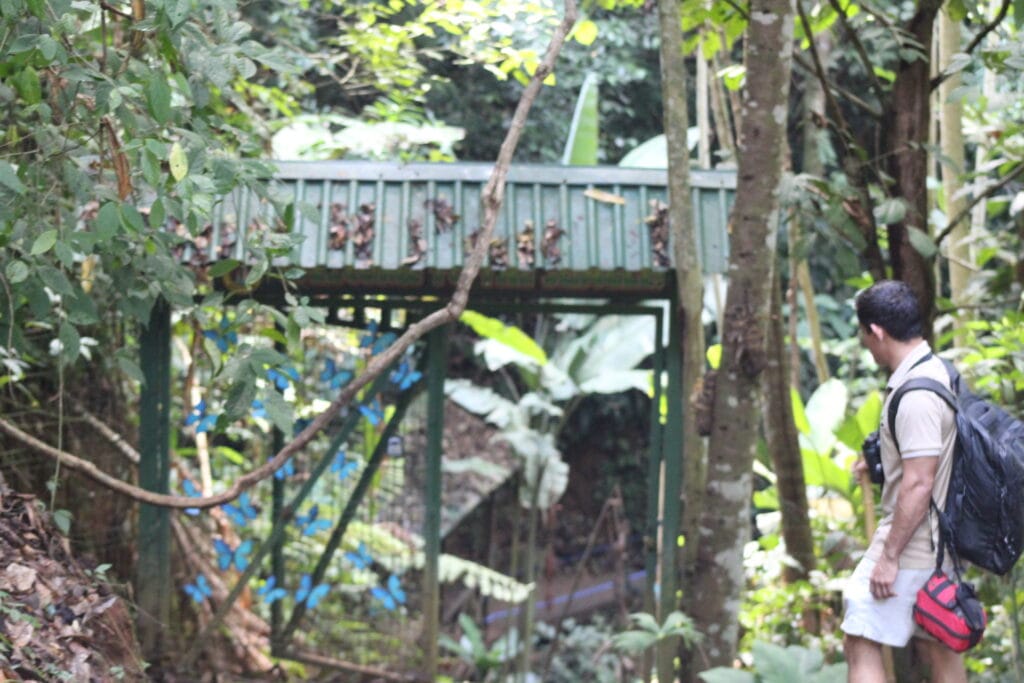 Trail and bridge access to Nauyaca Waterfalls in Costa Rica