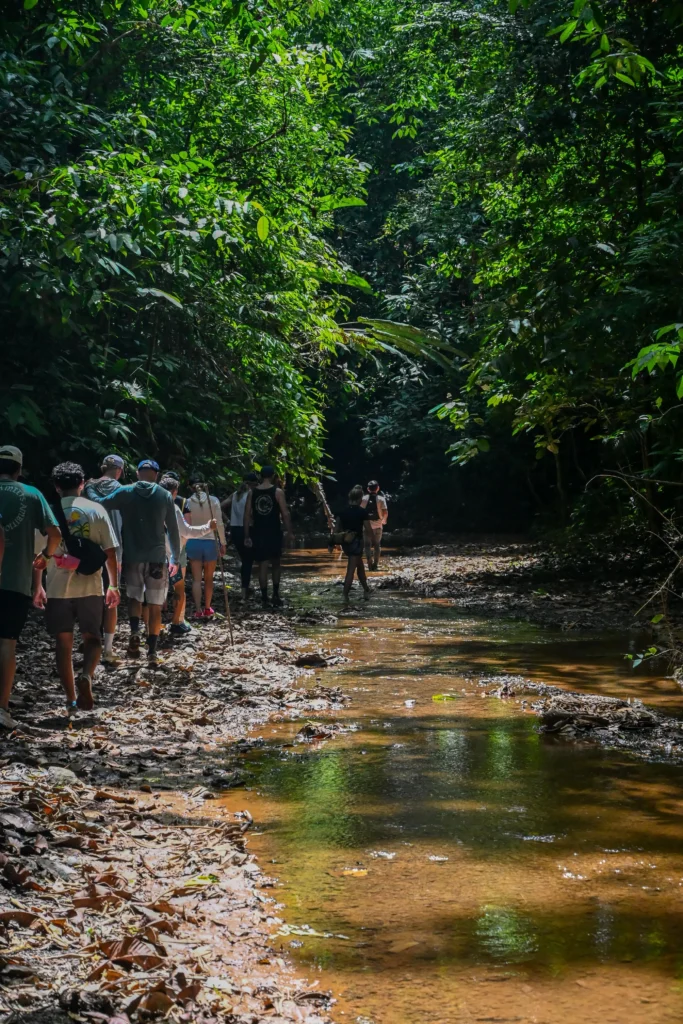 Group gathered in a jungle clearing during a Jaco waterfall tour in Costa Rica