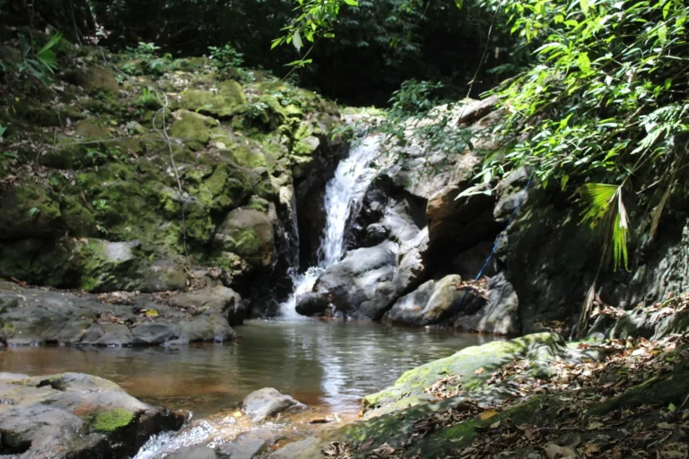 Small jungle waterfall near Jaco Costa Rica during a guided tour