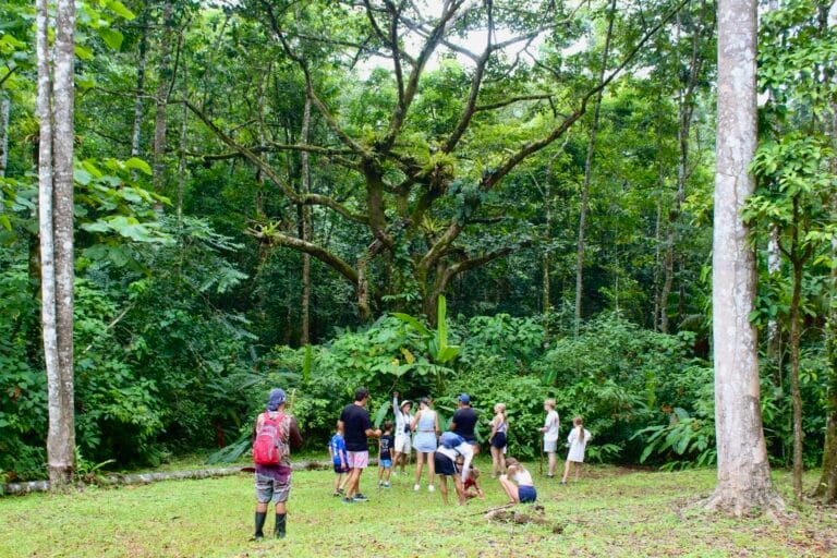 Visitors hiking through the rainforest during a Jaco adventure tour