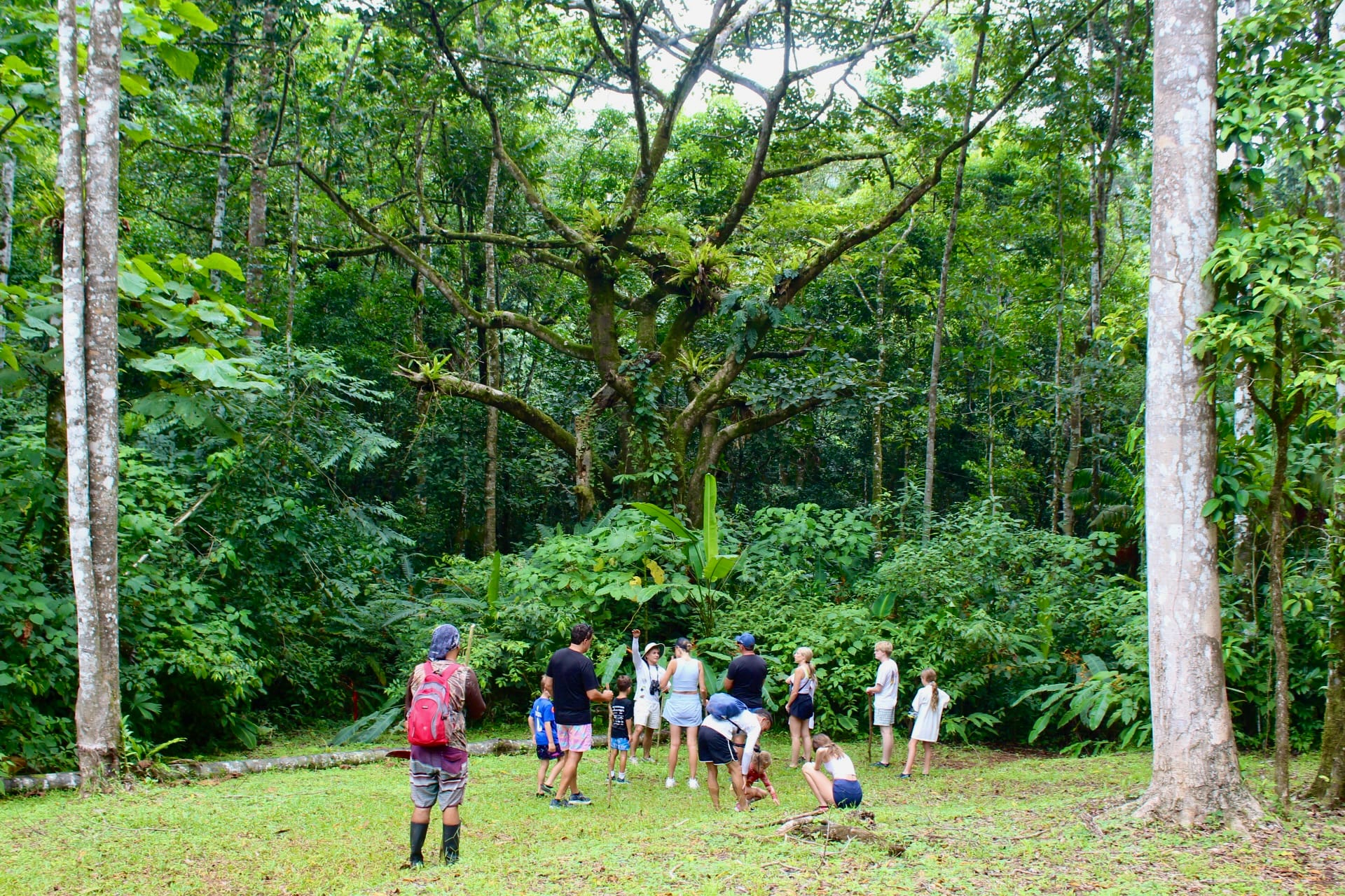Visitors hiking through the rainforest during a Jaco adventure tour