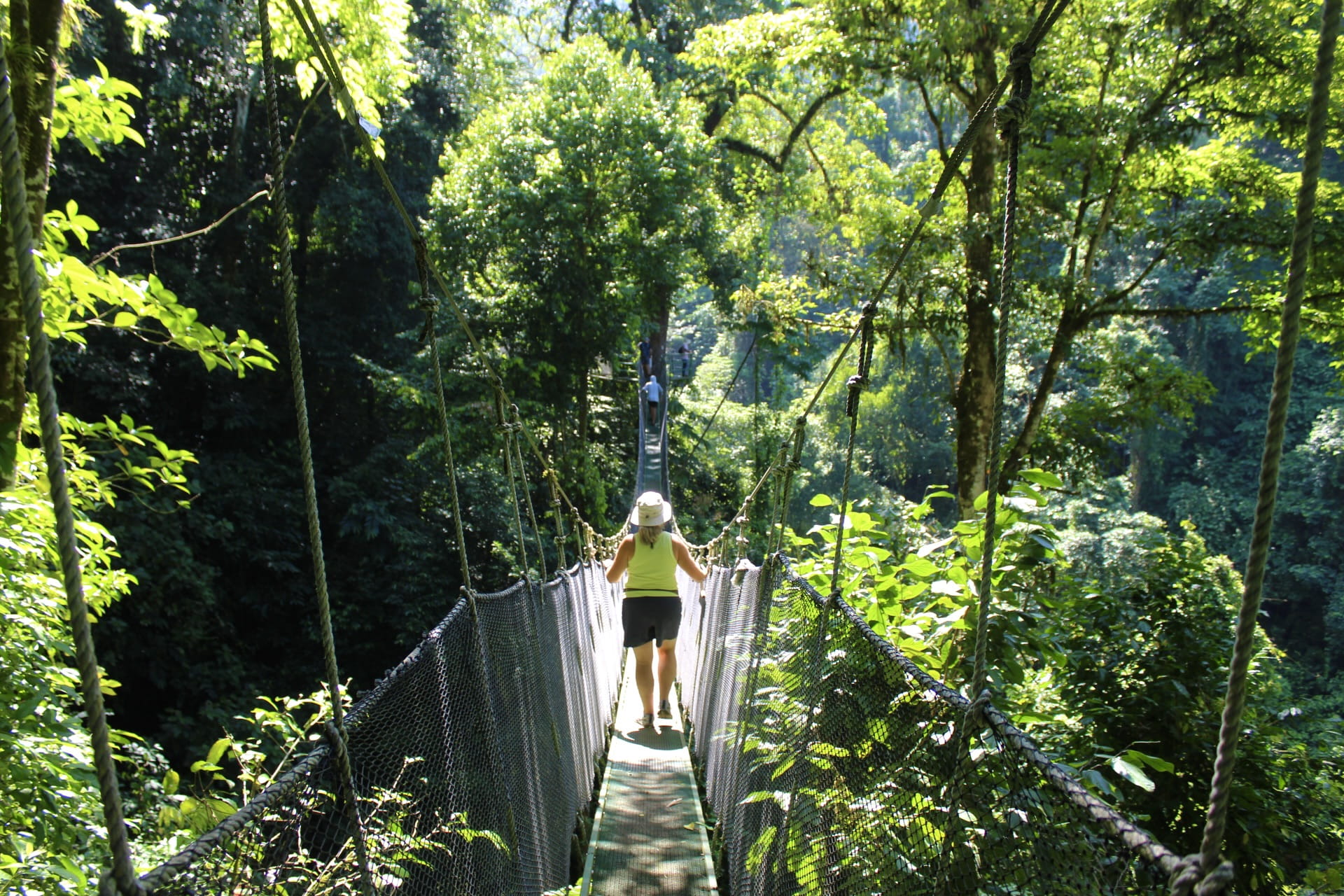 Traveler crossing a hanging bridge through the rainforest canopy in Costa Rica