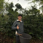 coffee plantation guide