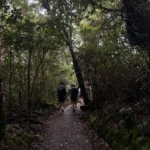 Poas volcano National Park trails