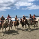 horse back riding tour at the beach