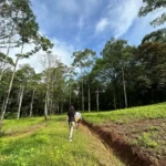 jaco waterfalls tour hike view