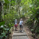 Trails to Nauyaca Waterfall