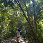 manuel antonio park trails