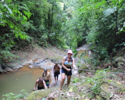 Travelers exploring the rainforest around Jaco Falls