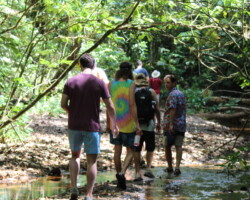 Group exploring the rainforest trails leading to Jaco Falls