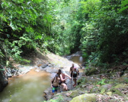 Group hiking through the rainforest to reach Jaco Falls