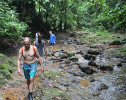 Group adventure through the rainforest near Jaco Falls