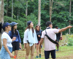 Group hiking through the rainforest during a Jaco Falls tour