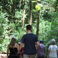 Group walking along a rainforest trail during a Jaco Waterfall Tour