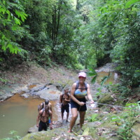 Visitors walking beside a rainforest stream on a Jaco Waterfall Tour