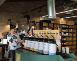 Guests learning about Costa Rican coffee at Doka Coffee Plantation