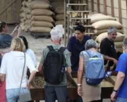 Guests exploring the coffee processing area at Doka Coffee Plantation