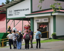 Visitors arriving at Doka Coffee Plantation in Costa Rica