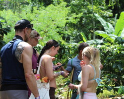 Guests exploring Nauyaca Waterfalls with a local guide