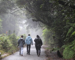 Guests walking through the cloud forest at Poas Volcano National Park