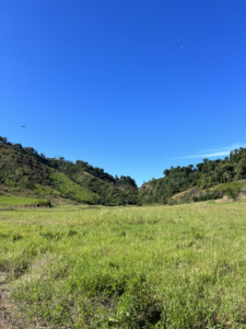 Travelers exploring Costa Rica's rainforest trails on an ATV tour