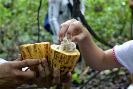 experience.jpgTraveler enjoying a local Costa Rican food experience during a Jaco tour
