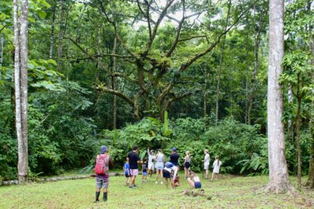 Visitors hiking through the rainforest during a Jaco adventure tour