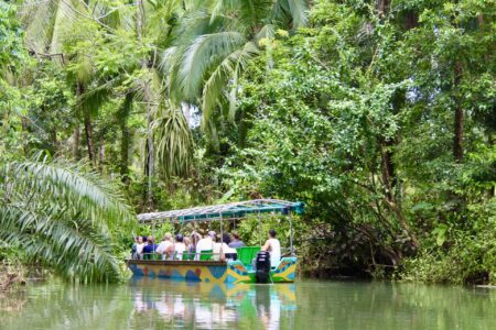 Boat traveling through mangroves during a wildlife tour in Costa Rica