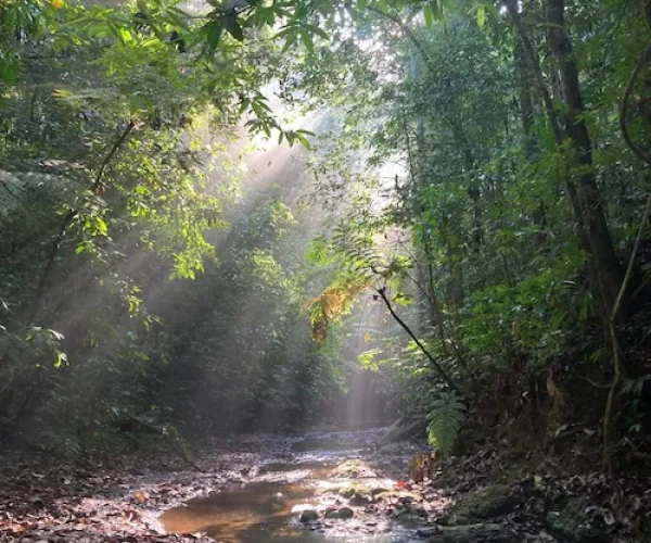 Group of travelers swimming and relaxing at a scenic jungle waterfall in Costa Rica — part of an adventure tour near Jacó