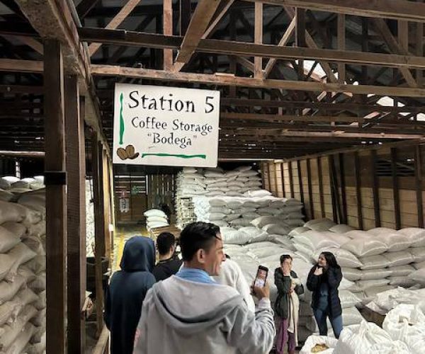 coffee plantation tour