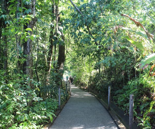 Walking trail through the rainforest at Carara National Park