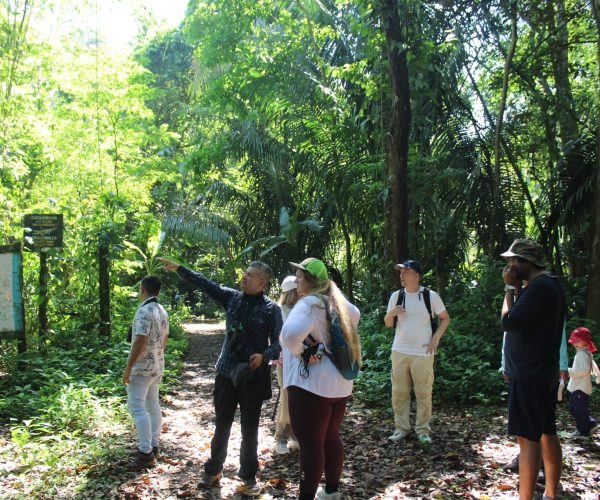Visitors exploring Carara National Park with a local guide