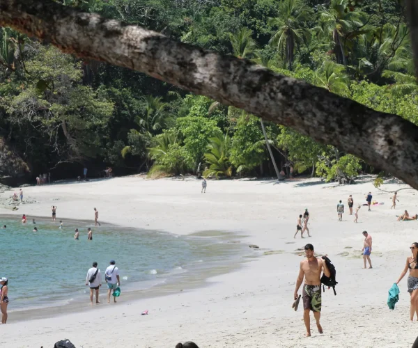 Scenic beach view in Manuel Antonio National Park Costa Rica