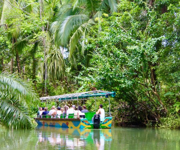 Boat traveling through the mangroves during a wildlife tour near Jaco