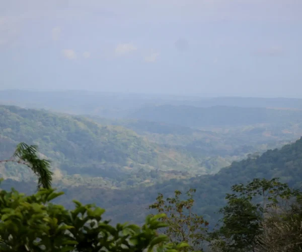 Mountain view near Jaco Costa Rica during a culinary and sightseeing tour experience