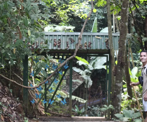 Tropical flower near Nauyaca Waterfalls in Costa Rica rainforest